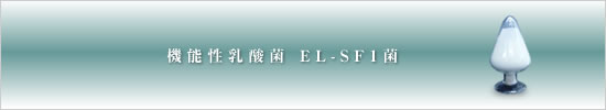 機能性乳酸菌 EL-SF1菌