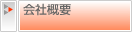 ЊTv